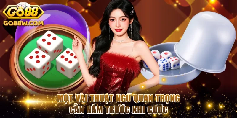 Một vài thuật ngữ quan trọng cần nắm trước khi cược